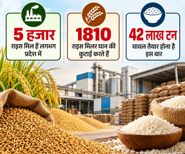 धान से चावल तक_ मिलिंग का सफर
